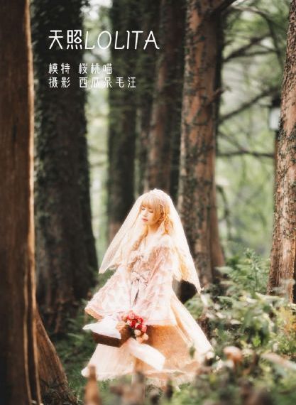 韩剧理论片_BD国语HD高清在线观看